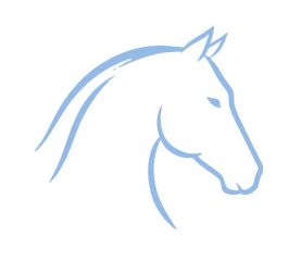 Equine assisted services-t